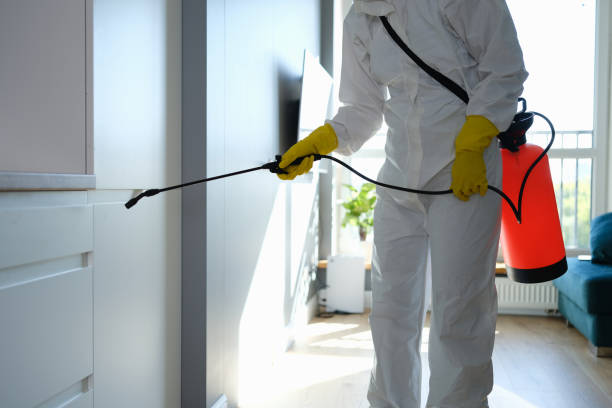 Best Certified Mold Removal  in Mentor, OH